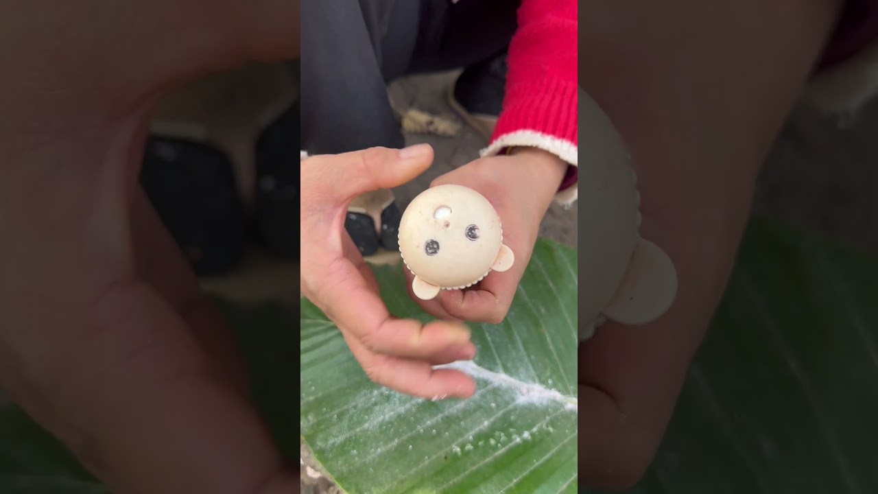 Camping with Kids? Essential Forest Survival Hacks! 