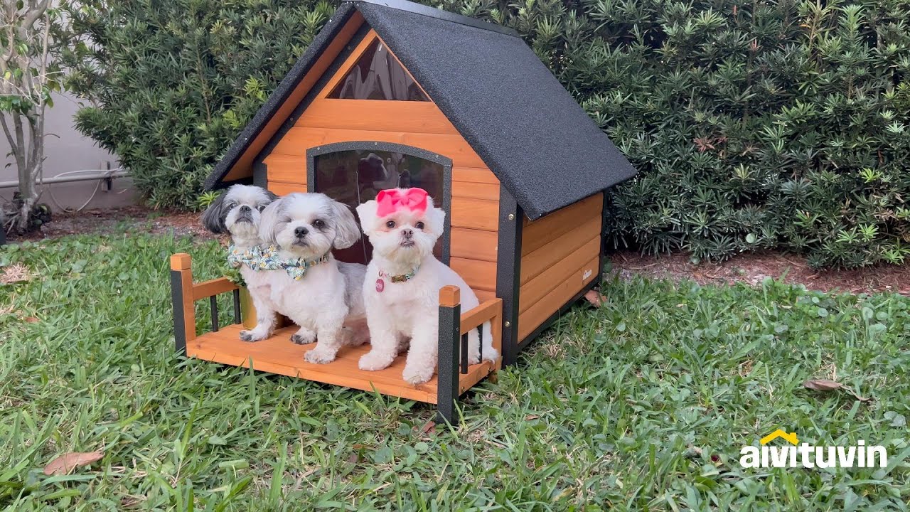 AivituvinAIR80 Outdoor Dog House with Porch Strong Iron Frame YouTube