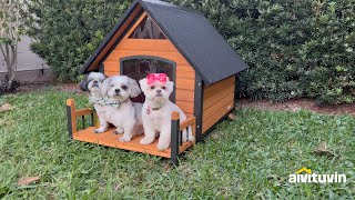 Aivituvin-AIR80 Outdoor Dog House with Porch| Strong Iron Frame