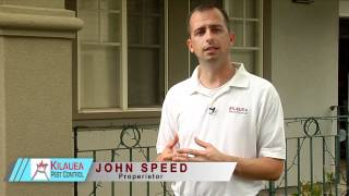 Kilauea Pest Control Honolulu, Hawaii - General Pest Control