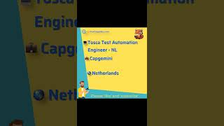 Tosca Test Automation Engineer - NL