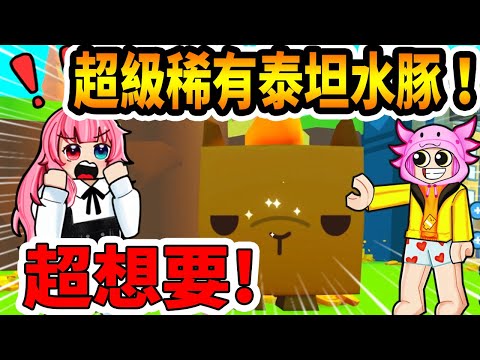 太猛了！竟然是泰坦水豚！我也好想要一隻！ft.阿神【Roblox寵物模擬器x】