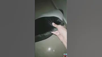 بيت مسكون بالجن 