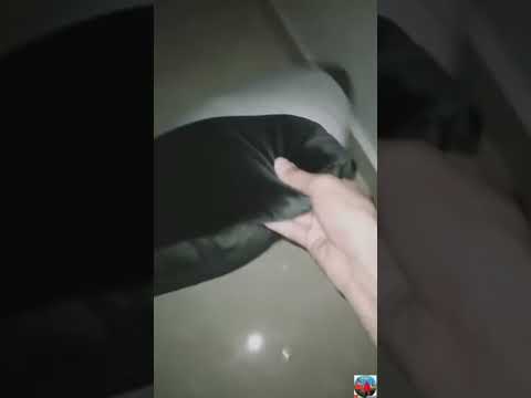 بيت مسكون بالجن