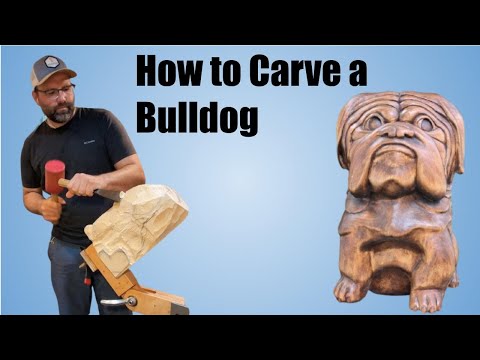 How To Carve a Bulldog Out Of Wood