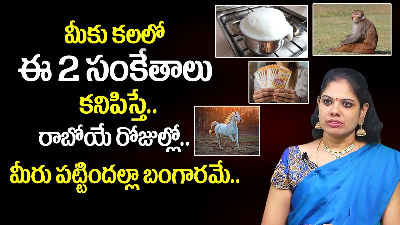Raja Sudha About Dreams | కలలో ఈ 2 సంకేతాలు కనిపిస్తే..? | Morning Dreams | My Destiny