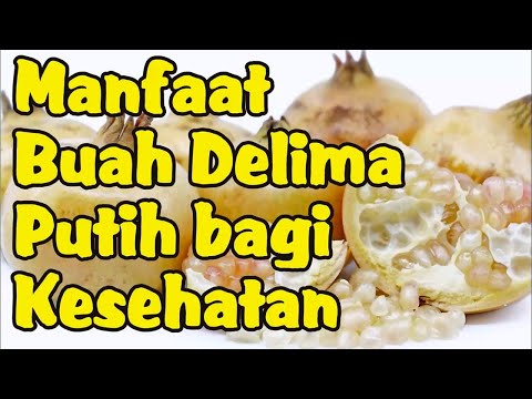 Jenis Buah Delima Putih