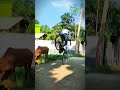cycle stand video ⚡⚡⚡☠️☠️ #shortsvideo #youtubeshorts