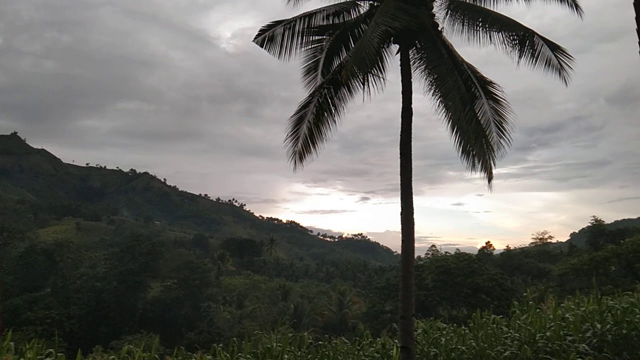 A DAY IN MY LIFE IN COUNTRYSIDE PHILIPPINES - YouTube