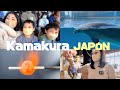 Niños japoneses reaccionan a los delfines + hotel JAPONES + hacemos vidrio VIAJANDO POR JAPÓN