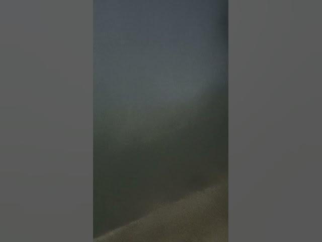 #shortvideos #video #punjabisong