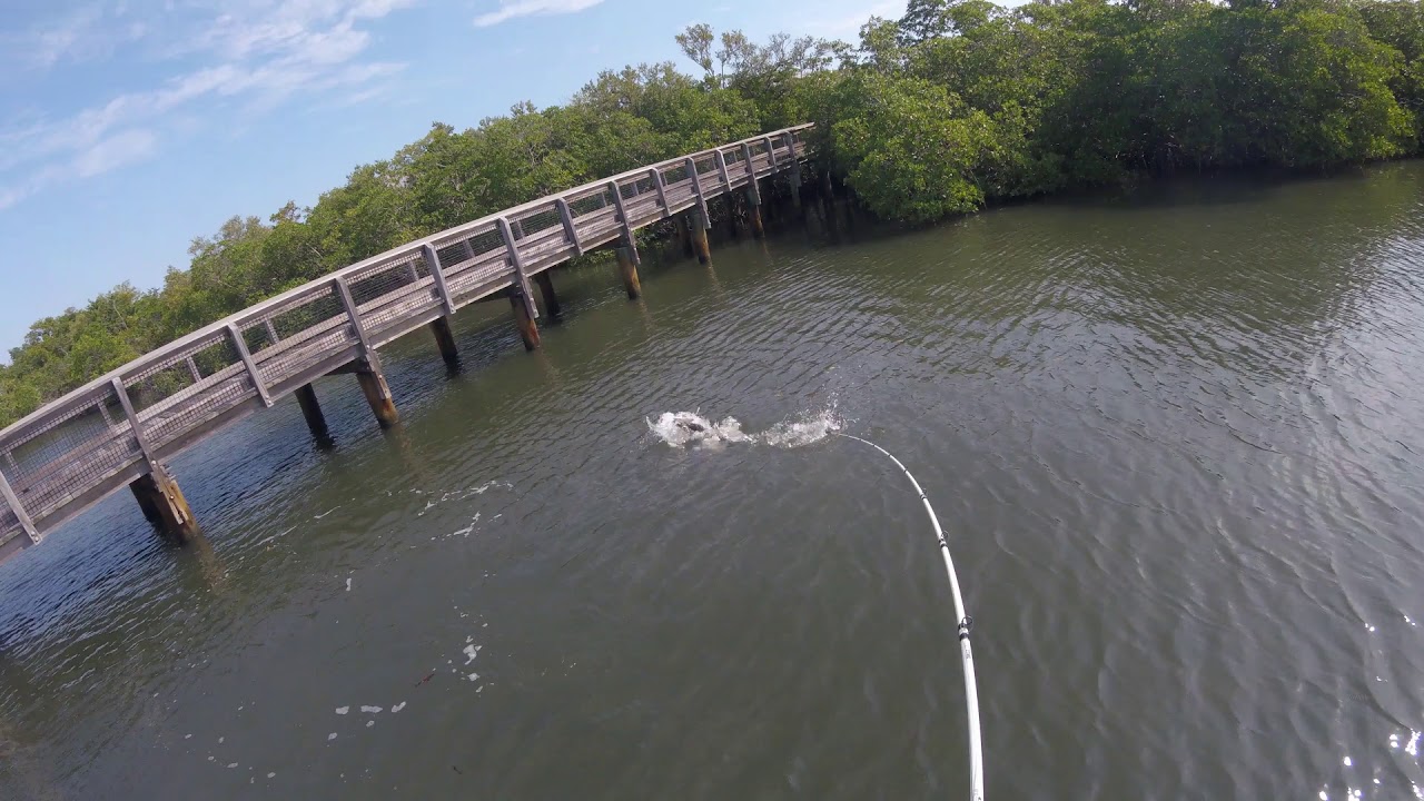 Intracoastal Fishing Hobe Sound Florida YouTube