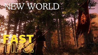New World Beginners Tips! Late 2023!