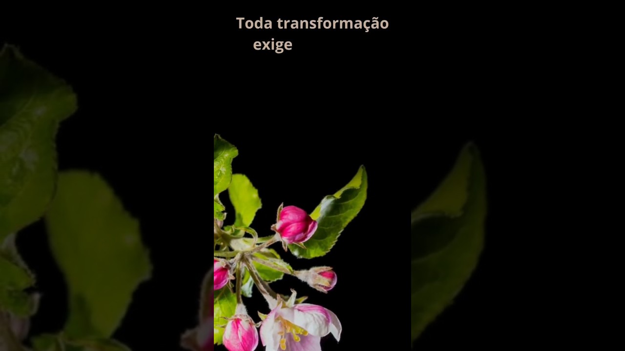 Carl Gustav Jung "Toda transformação exige como pré-condição o fim de um mundo..."