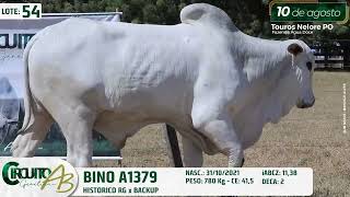 Lote 54 Bino A1379
