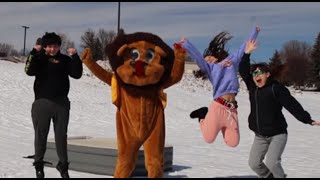 Virtual Bedrace for Bridging - Bloomington Lions