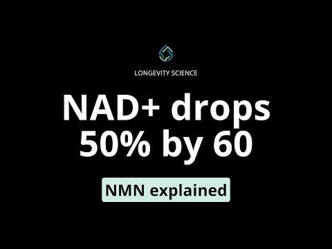 What Is NMN? The Complete Guide to Nicotinamide Mononucleotide