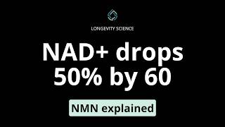What Is NMN? The Complete Guide to Nicotinamide Mononucleotide