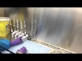 Video Image