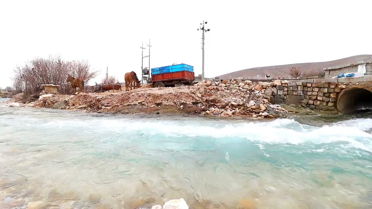 گوندی شەروێت ناحیەی ژاراوە 2026  1  31