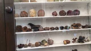 RISD Nature Lab Pt 2