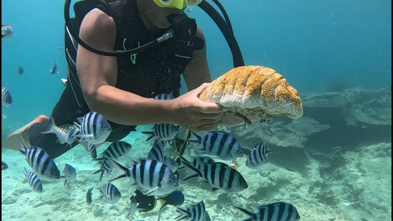 OKINAWA (JAPON ) - Juillet 2025