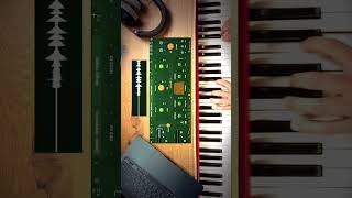 Piano through quantum Granulator and Delay #vstplugins #musicproducer #piano #lofi #lofimusic #gsdsp