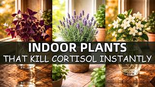 20 Indoor Plants That Kill Cortisol Instantly screenshot 2