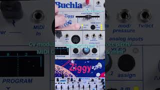Buchla Ziggy — самый компактный и доступный инструмент в своей истории #buchla #superbooth #synth