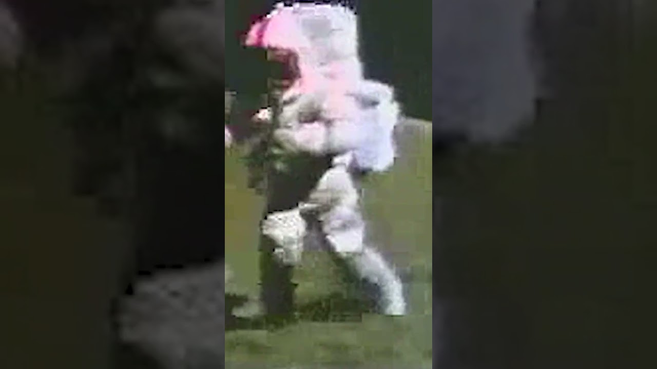 Ver Som ET - 45 - Moon - Apollo 15 - Burying the camera in the dust #shorts en YouTube Ver Som ET - 45 - Moon - Apollo 15 - Burying the camera in the dust #shorts en YouTube