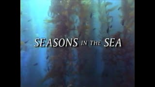 National Geographic Seasons In The Sea 1990