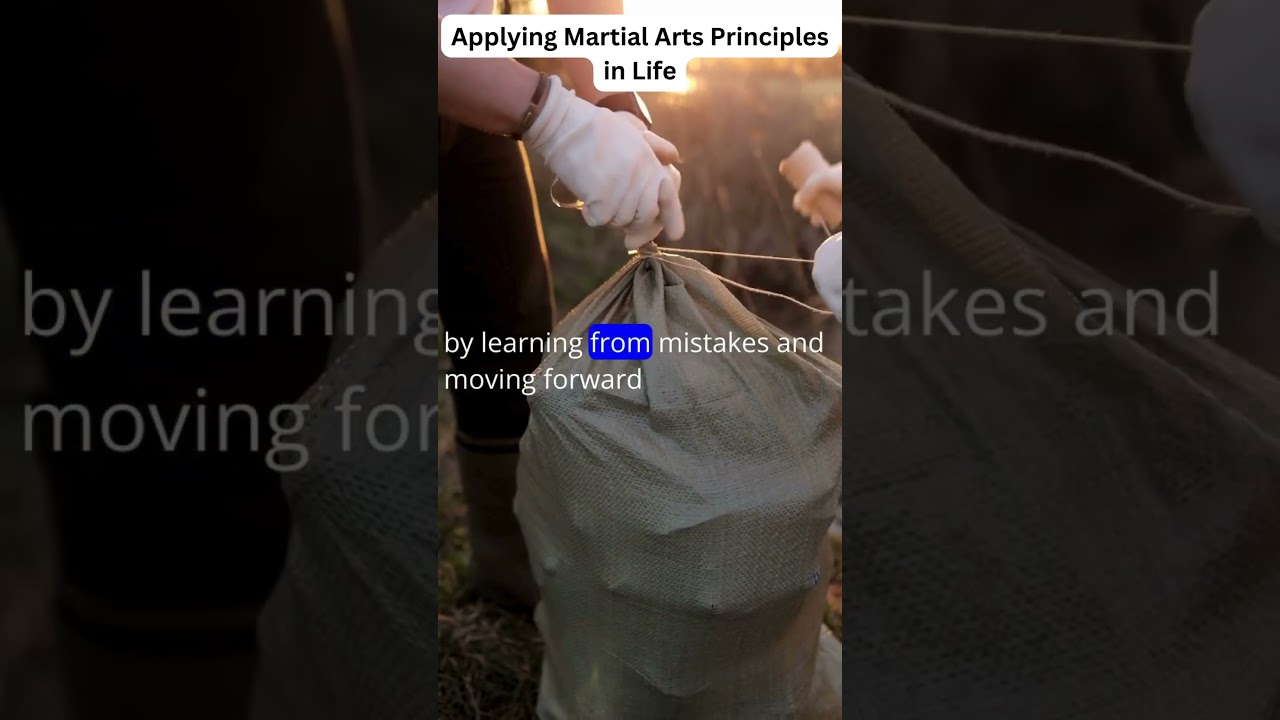 Applying Martial Arts Principles in Life |  