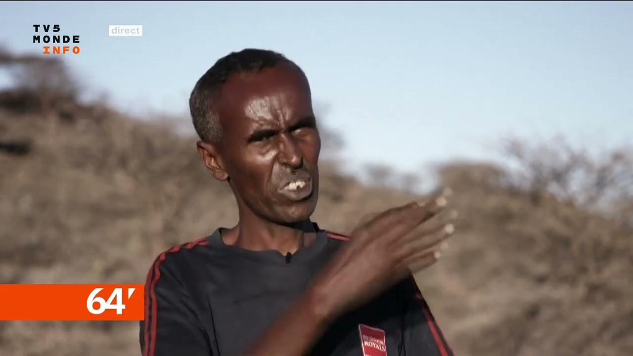 Le pari diplomatique du Somaliland