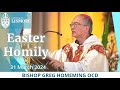 2024 easter sunday homily  bishop greg homeming st carthages cathedral lismore australia