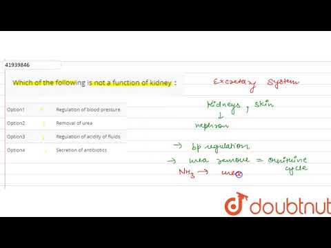 वीडियो: निम्नलिखित में से कौन गुर्दा का कार्य नहीं है?