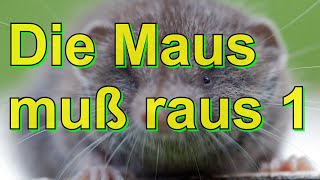 Die Maus Muß Raus 1