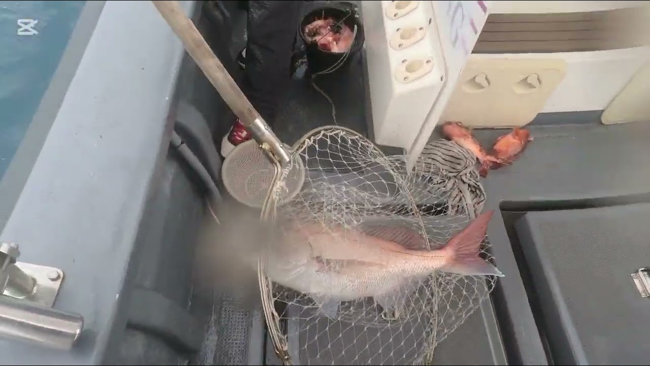 제주프라다호 타이라바or빅게임