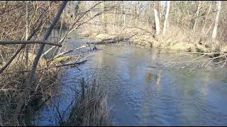 Wanderung Alte Aare