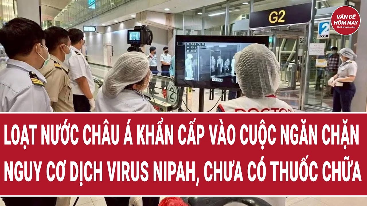 Châu Á khẩn cấp vào cuộc ngăn chặn nguy cơ virus Nipah thành đại dịch, chưa có thuốc chữa