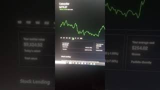 My portfolio Caterpillar