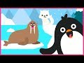 Arctic Animals for kids | Learn, Play &amp; Explore Arctic Animals | Preschool Learning Series