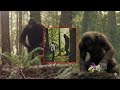 She Claims Bigfoot Was Her Guardian… Until Everything Went Wrong
