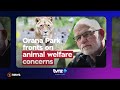 Orana Park leadership speaks to staff safety claims | 1News on TVNZ+