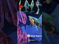 hungry Shark world pro Shark vs noob Shark who can 