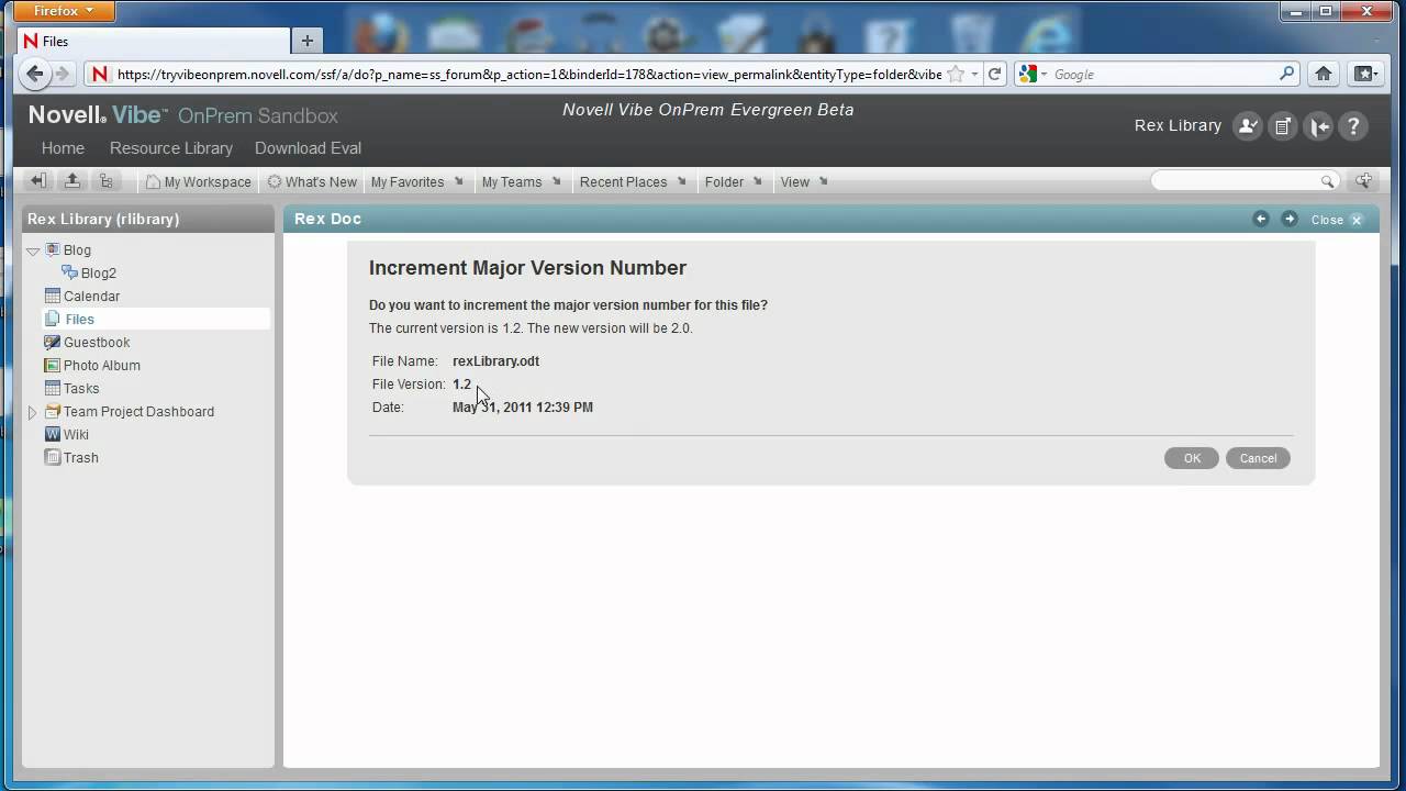 File Management in Vibe OnPrem demolition derby