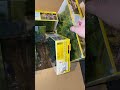 Noch mehr Bäume für die Modellbahn: Reichen sie diesmal? 🌲❓