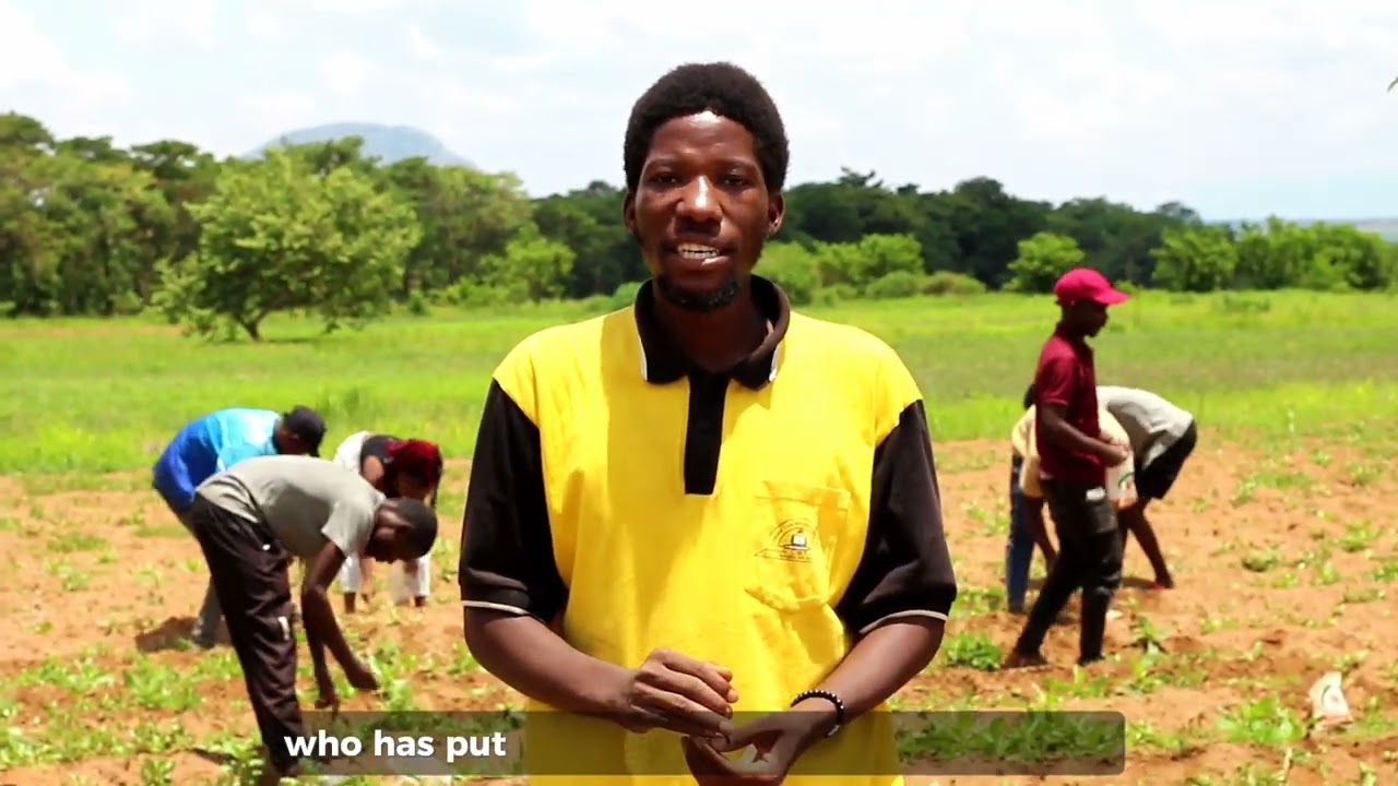 MaFAAs Bunda Chapter plants seed on its farm located at LUANAR Bunda Campus