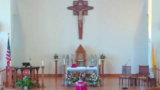 The Ninth Week in Ordinary Time (06/05/26)