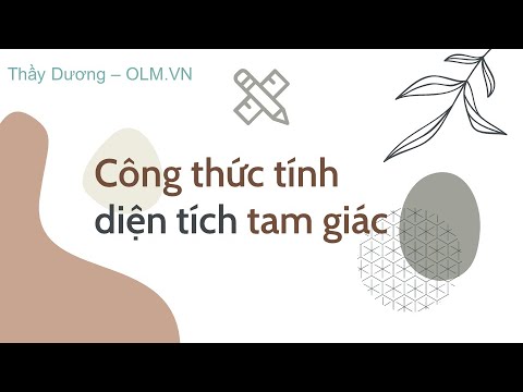 Some formulas for calculating the area of ​​a triangle | Math Grade 10 | OLM.VN - youtube