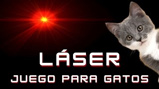 LÁSER para Gatos🚨 [VIDEOS para #Gatos] screenshot 5
